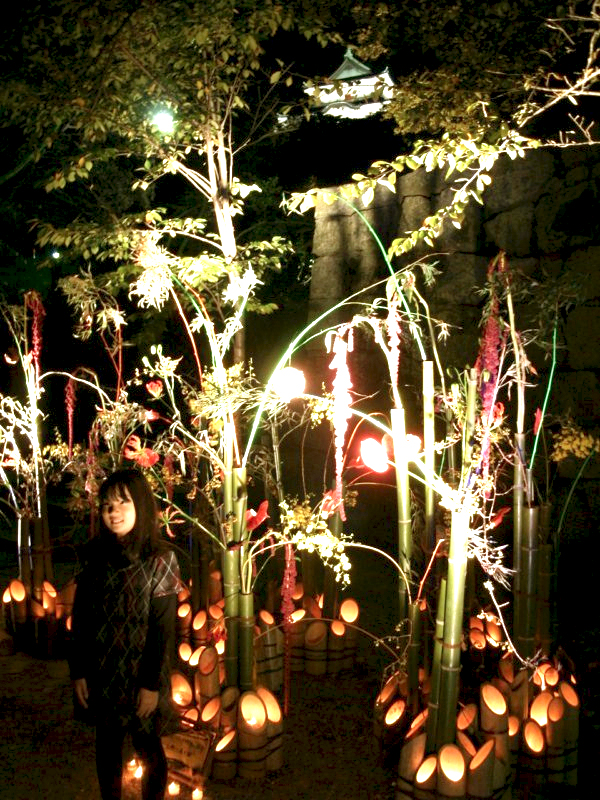 Wakayama En Vue! WAKAYAMA - chateau fete des bougies.jpg